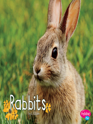cover image of Rabbits